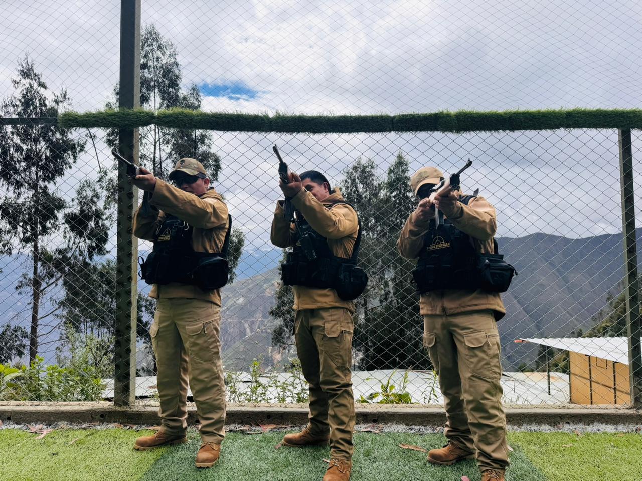 Agente de Seguridad Profesional